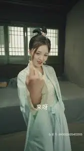 宫廷医圣