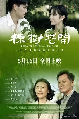楝树花开