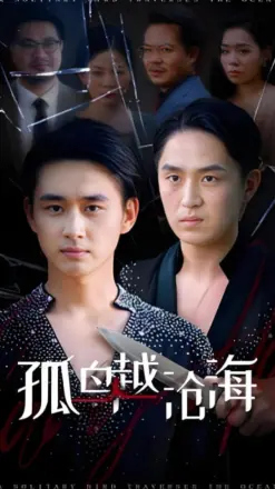 孤鸟越沧海