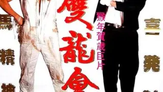 双龙会1992国粤双语中字bd1080p