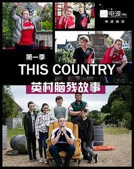 英村脑残故事(2017)