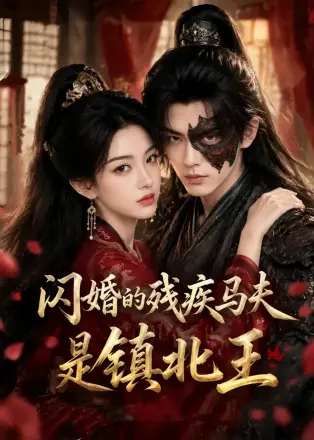 闪婚的残疾马夫是镇北王