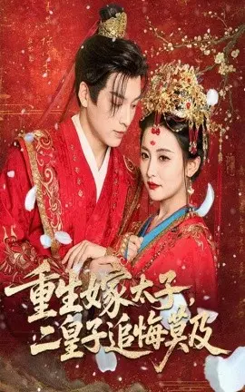 重生嫁太子二皇子追悔莫及