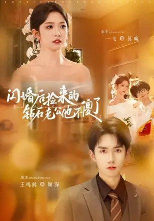 闪婚后捡来的钻石老公他不傻了