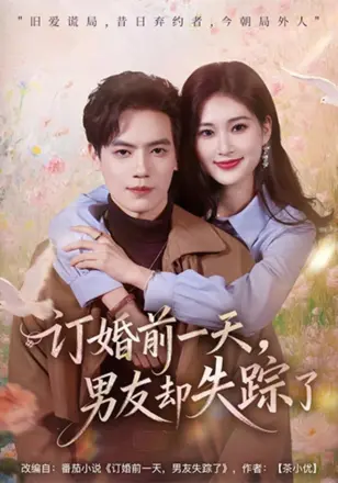 订婚前一天，男友却失踪了