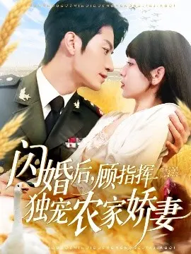闪婚后顾指挥独宠农家娇妻