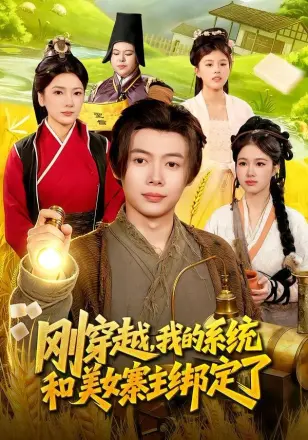 刚穿越,我的系统和美女寨主绑定了