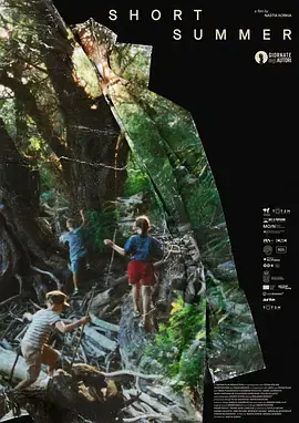 短暂的夏天