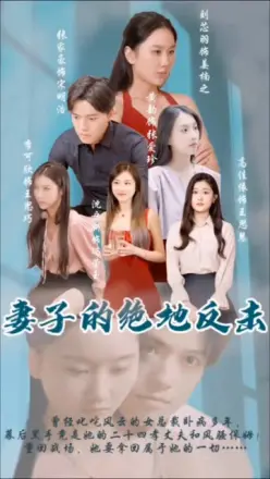 妻子的绝地反击