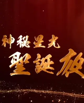 神秘星光圣诞夜