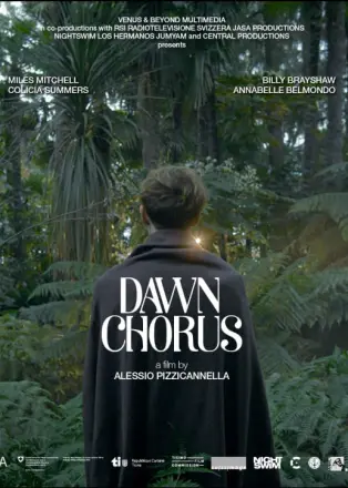 Dawn Chorus