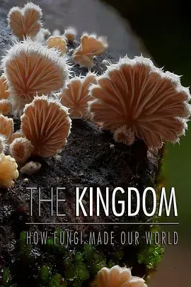真菌王国第一季