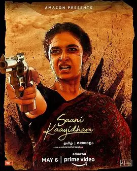 复仇女警(2022)
