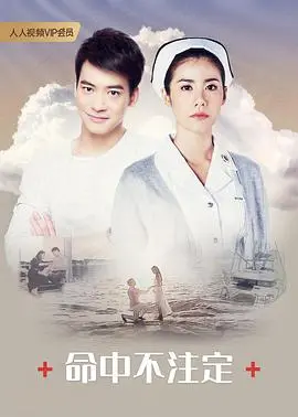 命中不注定普通话版