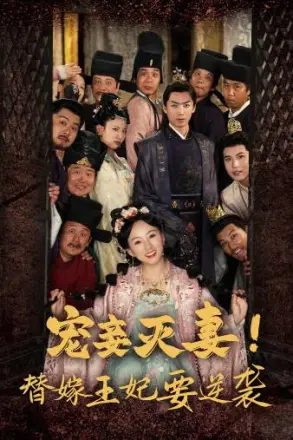 宠妾灭妻!替嫁王妃要逆袭