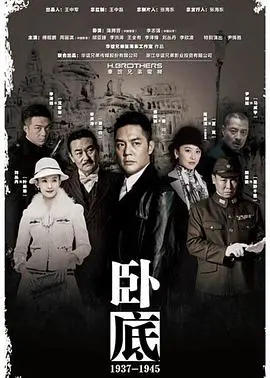 卧底(2015)