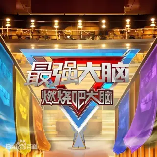 最强大脑第十三季