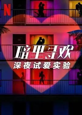 暗里寻欢:深夜试爱实验