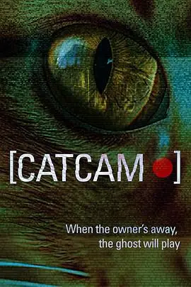 猫咪摄像头