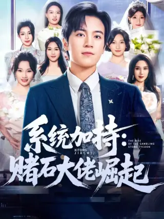 系统加持：赌石大佬崛起