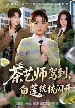 茶艺师驾到白莲统统闪开