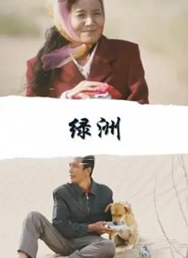 绿洲2010