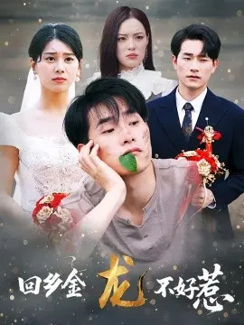 回乡金龙不好惹