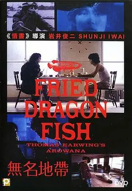 无名地带(1993)