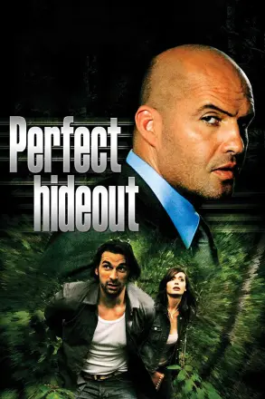 完美隐藏
