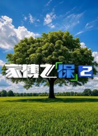 家传之“保”2