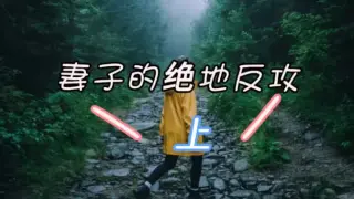 妻子的绝地反攻