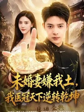 未婚妻嫌我土，我医冠天下逆转乾坤