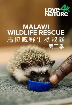 马拉维野生动物救援