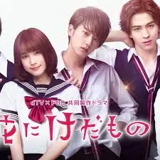花予野兽(2017)