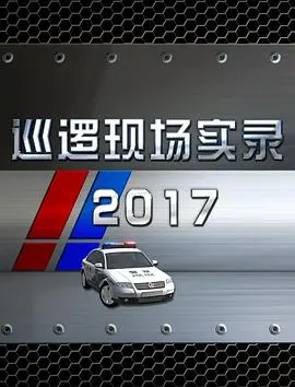 巡逻现场实录(2017)