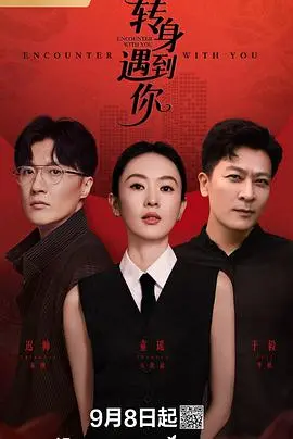 转身遇到你(2016)