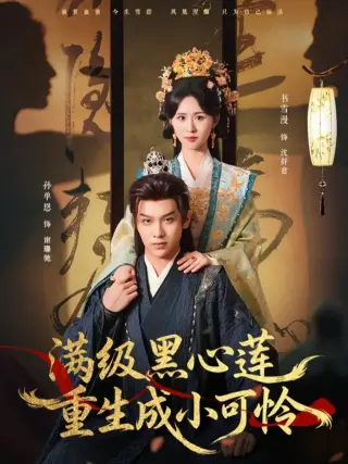 满级黑心莲重生成小可怜