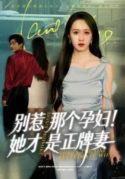 别惹那个孕妇她才是正牌妻