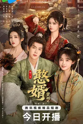 贤婿之憨婿