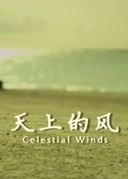 天上的风(2011)