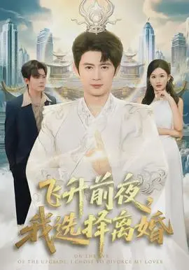 飞升前夜，我选择离婚