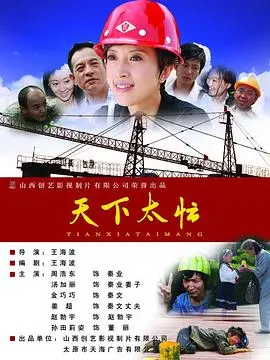 天下太忙(2010)