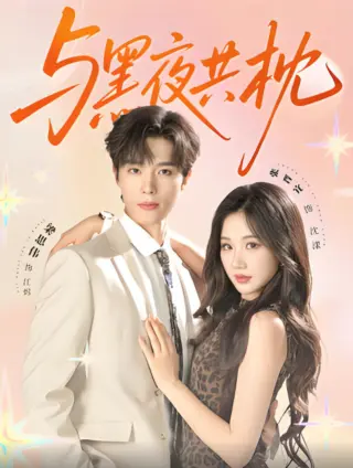 与黑夜共枕