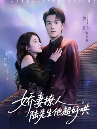 娇妻撩人,陆先生他超好哄