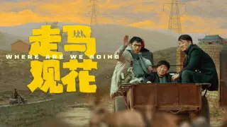 走马观花