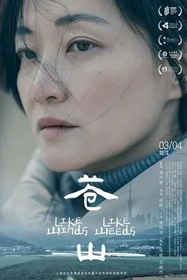 苍山(2025)
