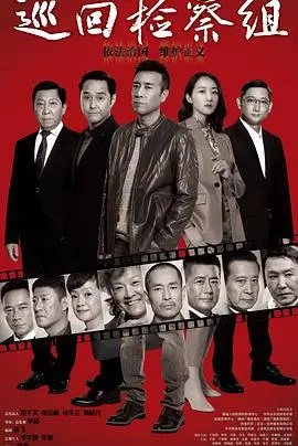 巡回检察组(DVD版)