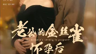 老公的金丝雀怀孕后