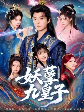 妖孽九皇子