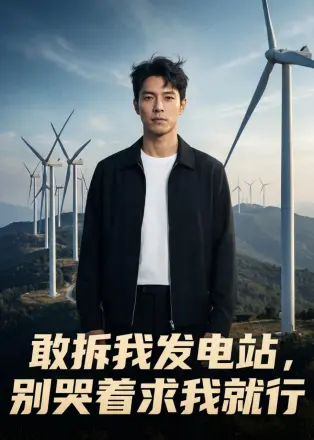 敢拆我发电站别哭着求我就行